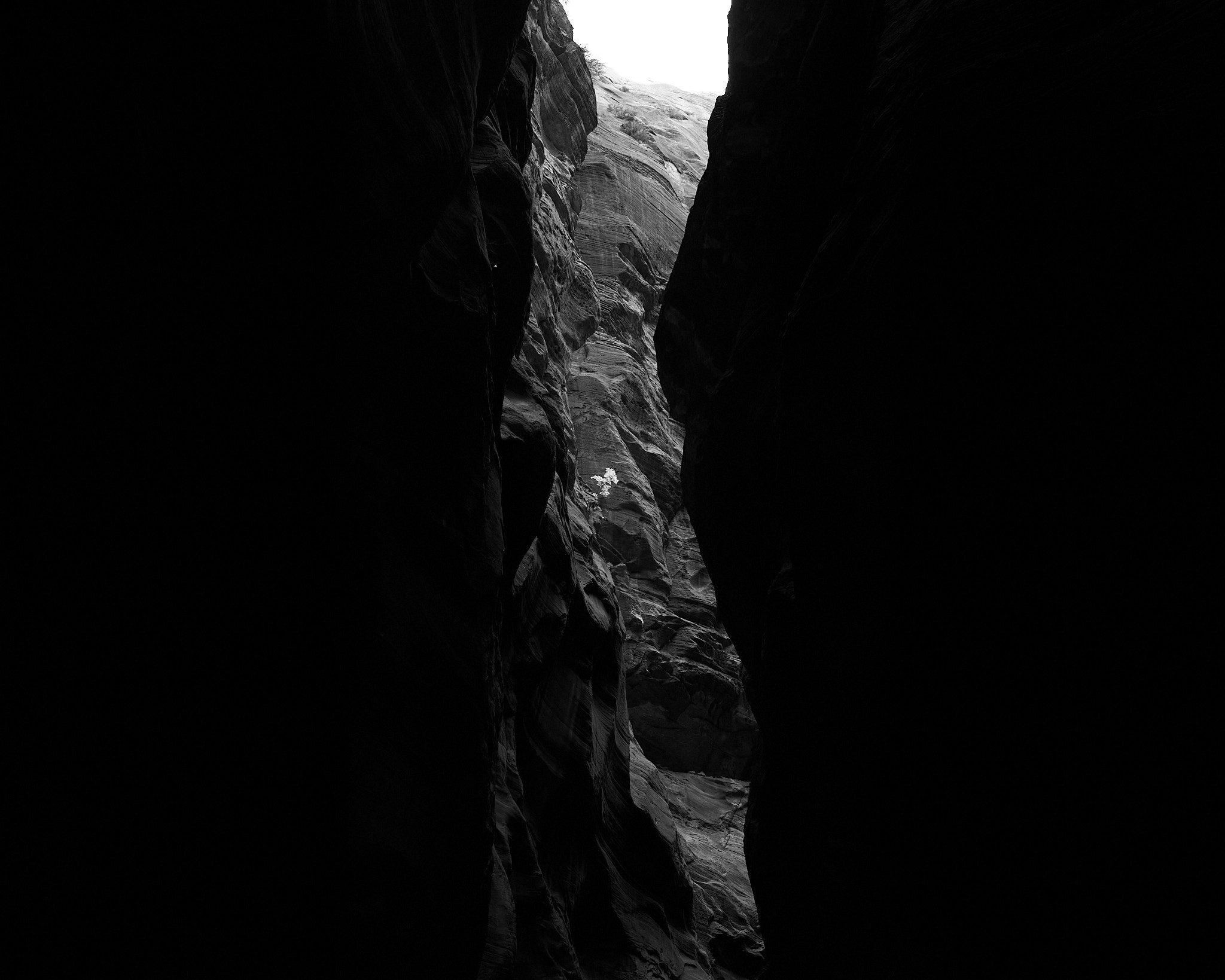 Zion_The Narrows_4